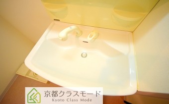 シャンプードレッサー