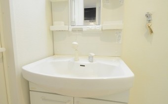 ワイドなシャンプードレッサー
