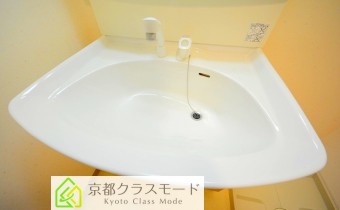シャンプードレッサー