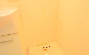 洗面所　室内洗濯機置場