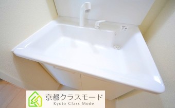 シャンプードレッサー