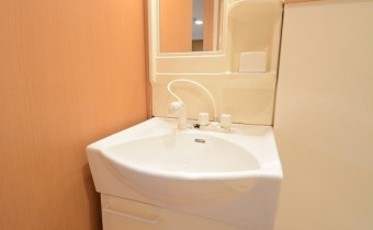 シャンプードレッサー