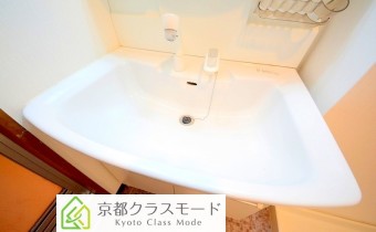 シャンプードレッサー
