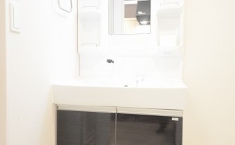 シャンプードレッサー