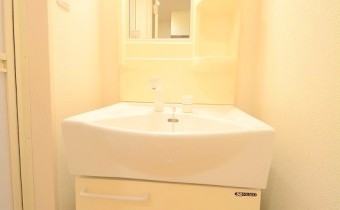 シャンプードレッサー