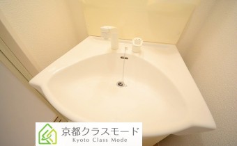 シャンプードレッサー