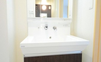 洗面所　洗面ボールの大きなシャンプードレッサー