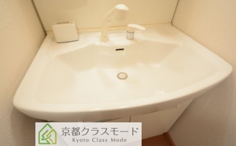 シャンプードレッサー