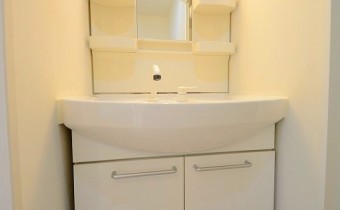 シャンプードレッサー