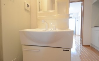 嬉しいシャンプードレッサー♪
