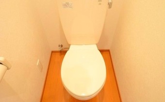 オーソドックスなトイレです。