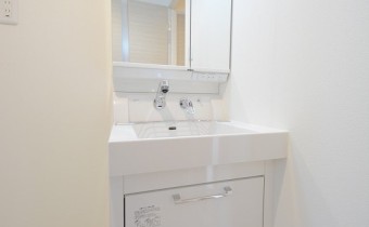 シャンプードレッサー