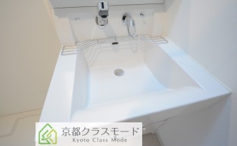 シャンプードレッサー