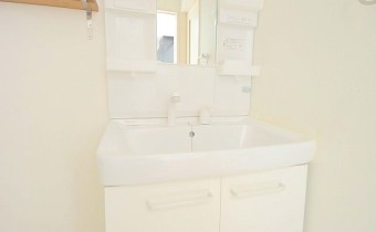 シャンプードレッサー