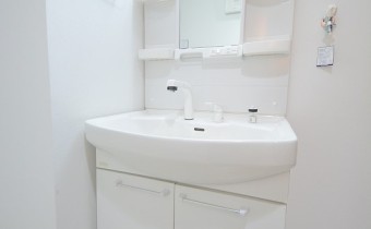 シャンプードレッサー