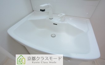 シャンプードレッサー