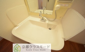 シャンプードレッサー