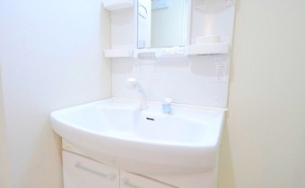 シャンプードレッサー