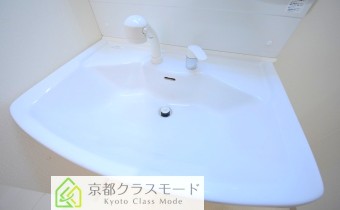 シャンプードレッサー