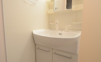 シャンプードレッサー
