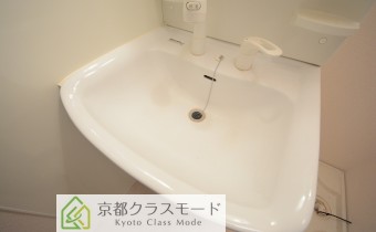 シャンプードレッサー