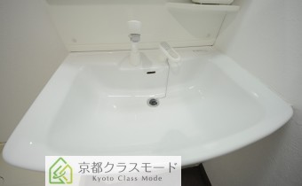 シャンプードレッサー