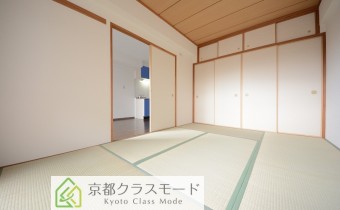 和6