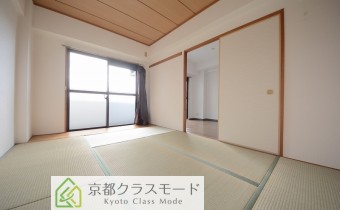 和6