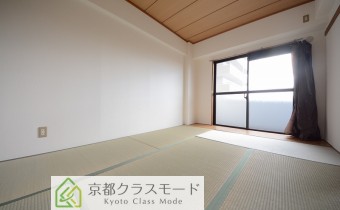 和6