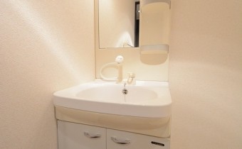 シャンプードレッサー