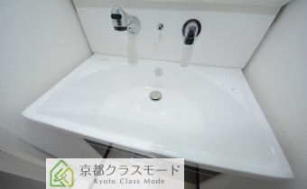 シャンプードレッサー