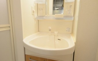 シャンプードレッサー