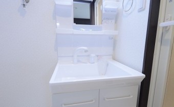 シャンプードレッサー