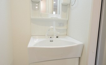 シャンプードレッサー