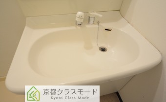 シャンプードレッサー