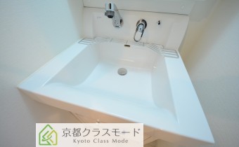シャンプードレッサー