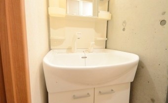 シャンプードレッサー