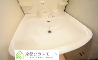 シャンプードレッサー