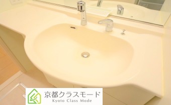 シャンプードレッサー