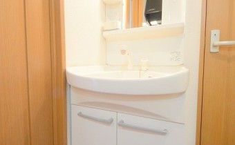 シャンプードレッサー