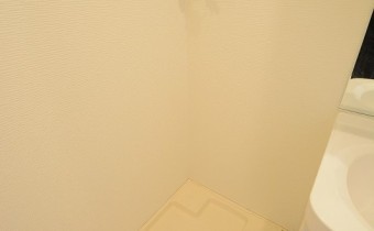 室内洗濯機スペース