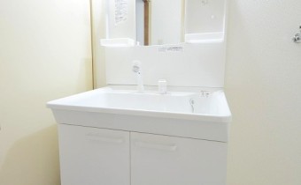 シャンプードレッサー