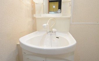 シャンプードレッサー
