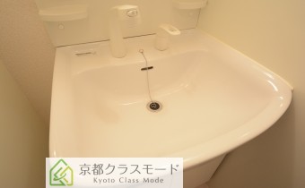 シャンプードレッサー
