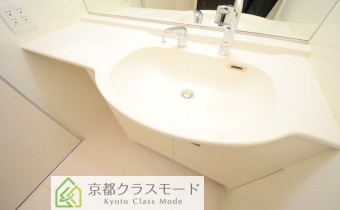 シャンプードレッサー