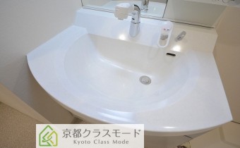 シャンプードレッサー