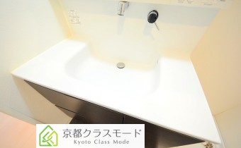 シャンプードレッサー