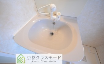 シャンプードレッサー