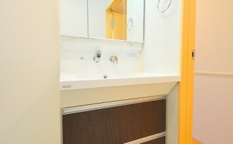シャンプードレッサー