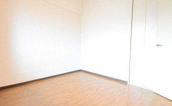 洋5.5帖